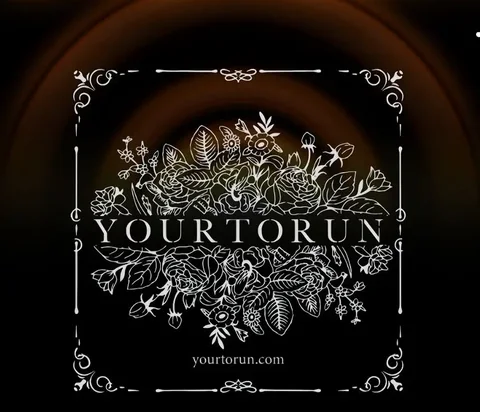 WLSC 2025 partner brand YOURTORUN